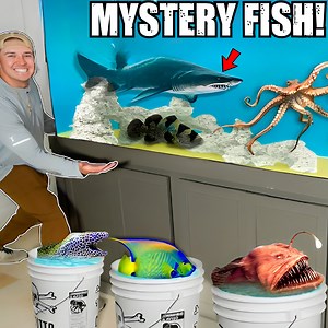 10K views · 103 reactions | Building Giant Fish Room!  | The Fish Guys | Facebook