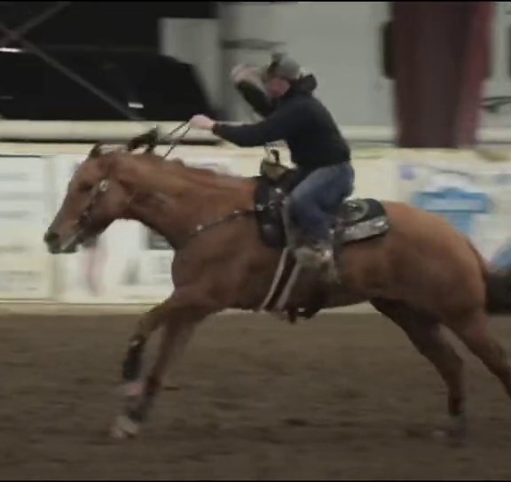 10/10 🔥 #fyp #barrels #viral