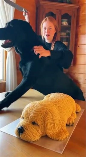 He Really Thought It Was Real! 🐶🎂 My Dog Saves a "Puppy" Cake! #isitcake #funny #funnydog #funnypet