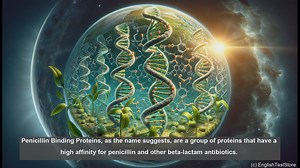 Penicillin binding proteins in biology