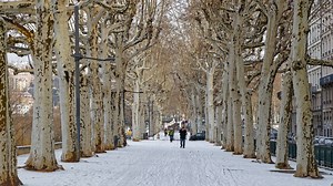 Weather: Snow is expected to fall almost every day in Lyon this week!