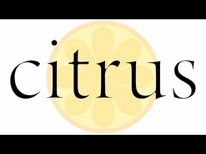 citrus - Opening Officiel