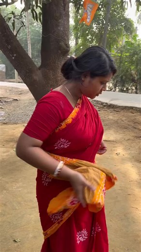 Traditional Cooking: Woman Prepares Meals in Saree