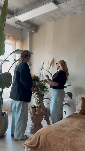 Van der Plas | Wholesale Flowers & Plants on Instagram: "Green takes the stage today 🌱 Fresh plants, new textures and endless styling options. Shop the plant collection in our webshop. 👀 #plants #plantcollection #plantinspiration #plantdisplay #floristlife #floristsofinstagram #floristshop #plantwholesale #plantsupplier #plantlove #greeninspo #plantstyling #floraldesign #plantshop #plantpassion #interiorplants #freshplants #greendisplay #plantsmakepeoplehappy #vanderplas #vanderplasflowersplan