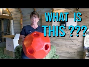 Trying Out The Burlingham Hay Ball Feeder - This Thing Works!