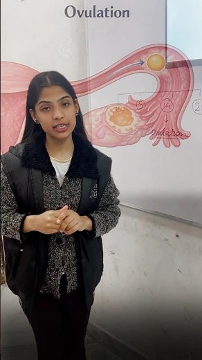 Menstrual Cycle Phases | Class 12 Biology | Human Reproduction #BiologyShorts #EducationShorts