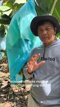 the purpose of micro drainage #farming