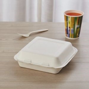 [Hot Item] Lunch Box 8" X 8" 3-C Hinged Container Packing Box for Food Holder