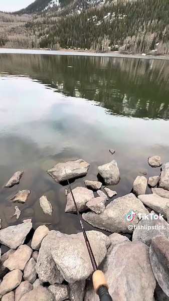 Still recovering #utah #ultralightfishing #brooktrout #tigertrout #holdmybeer #fyp #fy #foryoupage