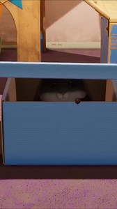 We got a new hamster! #hamster #gaming #cutegames | ItsFunneh