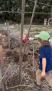 Picking cabbage from the garden 💚 Part 4 | CookingwithSammy