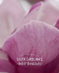 These delightful Bed & Breakfasts are perfect for your next romantic getaway. | Discover South Carolina