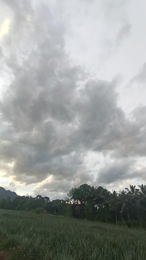 All things Bright & beautiful | Aranjuez Sheila