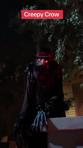 Creepy Crow - Spooky Halloween Videos