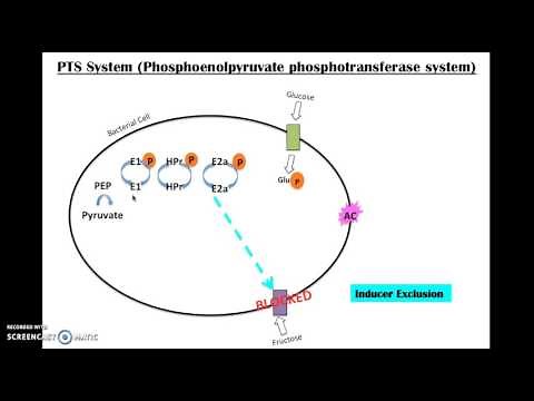 PTS System
