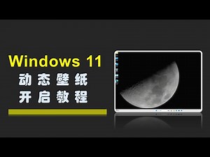 史诗级功能？Windows 11 动态视频壁纸回归，附启用教程