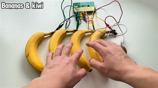 From meme to madness: Viral rat dance played on 20 weird instruments