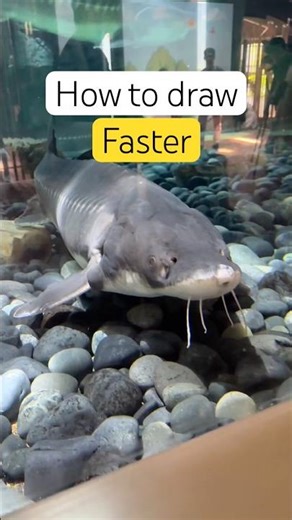 How to draw faster. 5 tips to increase your drawing speed