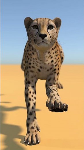 Animated Cheetah 3D Model - Run Cycle: | ‪@PROmax3D‬
