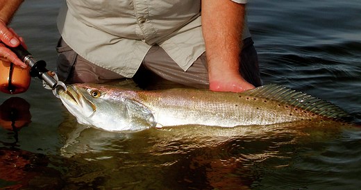 Here's where you can buy hunting and fishing licenses for the 2025-26 season