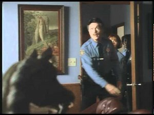 Picket Fences Series 2 on Hallmark Channel