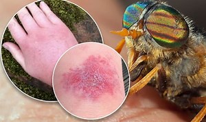 BBC Breakfast viewers stunned as stable owner reveals X-rated horse nickname