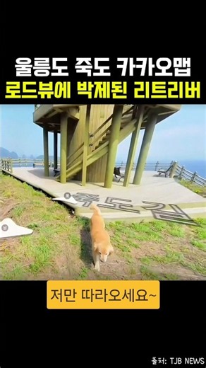 세상을 떠났지만 지도 속엔 영원히 남은 죽도 안내견 마루
