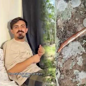 Gerçekten de öyle #fyp #ilişkilendirilebilir #herkesiçin #tatil #trend