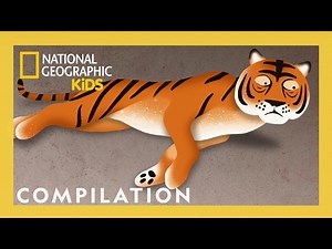Weird But True! Shorts Compilation | Funny Animals 😂 | @natgeokids - Videos For Kids