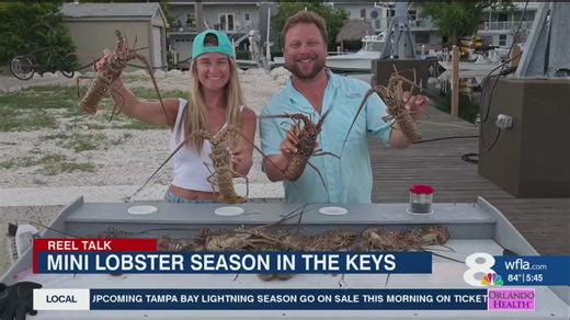 Reel Talk: Catching and cooking Florida Spiny Lobster