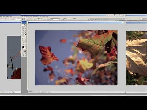 Why Digital Preservation is Important for You