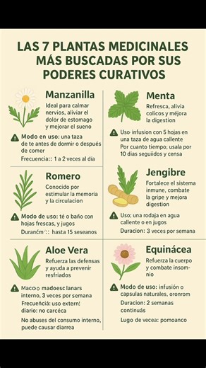 Las 7 Plantas medicinales más buscados por sus poderes curativos #vidasana #fblifestyle #VidaYSalud | Viajeros Perú