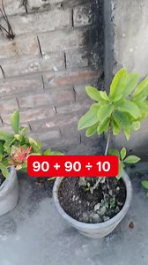 12K views · 205 reactions | Solve it Mat Test | Learn And Solve | Facebook