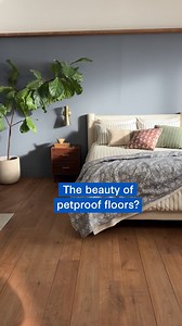 5.7K views · 25 reactions | Take this cat's word for it – COREtec floors are 100% petproof. ​ Featured Style: Weathered Oak​ #petfriendly #petfriendlyhome #waterproof #newfloors #flooring #lvp #bts #yesCOREtec | COREtec Floors | Facebook
