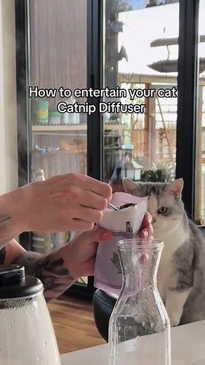 A simple diffusion method using catnip tea in a humidifier . Try it yourself !