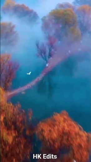 Red Autumn Trees by the Lake | Calm Birds & Cloudy Nature Scene