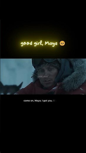 Maya the husky saves the doctor | Eight Below (2006) #movie #shorts #dog