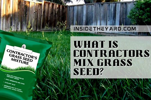 What Is Contractors Mix Grass Seed? Beneficial Grass Facts For Your Yard - Inside The Yard