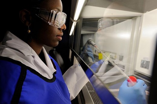 In Vivo Biosafety Testing Services