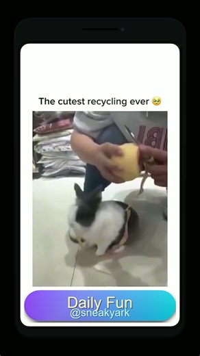 The Cutest Recycling System You’ll Ever See #bunny #rabbit #cute #zerowaste #recycling #animals