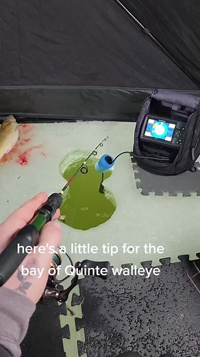 Bay of Quinte Walleye Fishing Tips