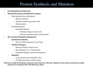Protein Synthesis and Mutation - SlideServe