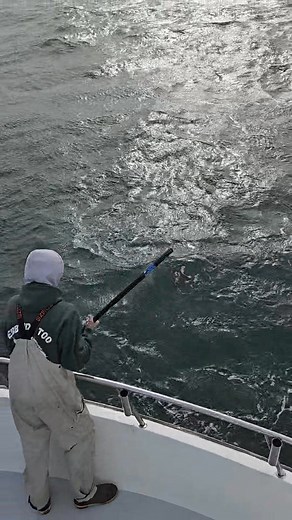 5.9K views · 27 reactions | Ebbtide Fishing Charters on Reels | Facebook