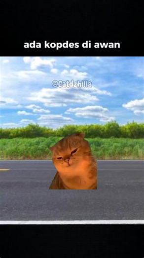 perasaan dulu gak gini🗿 #kucing #memekucing #foryou #catdzhilla #kopdes