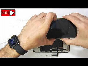 iPhone 11 Not Working After Dropped In Water