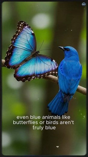 Blue Isn’t Real (Science Explains Why) 🔵😲