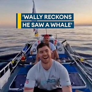 Dolphins 🐬 Whales 🐳 Miles of open ocean 🌊 Rowers from the Atlantic Rocks team are pushing hard through the Atlantic Ocean on a 3200-mile journey from Lanzarote to Antigua 🚣‍♂️ The RAF Regiment personnel have made it past Fuerteventura in the Canary Islands and have this video update from sunset 📹 👇 | Forces News