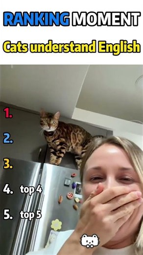 This is so funny, l couldn't stop laughing #funny#doddlersoft#funnyvideos#duet