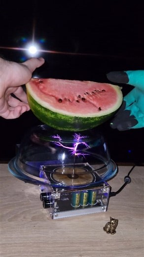 🍉 Electricity vs Watermelon, What is next❓️ #experiment #teslacoil #science #fruit | Life Tesla Coil
