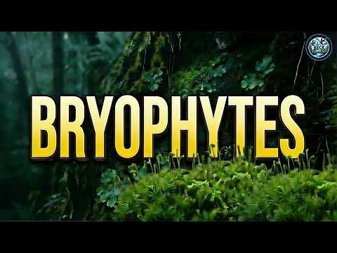Bryophytes